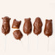 Lollipop family - Milk praline