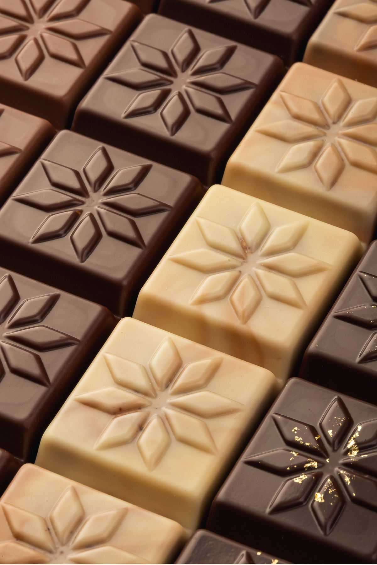 Barrette - Praline dark