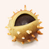 Bogues et châtaignes