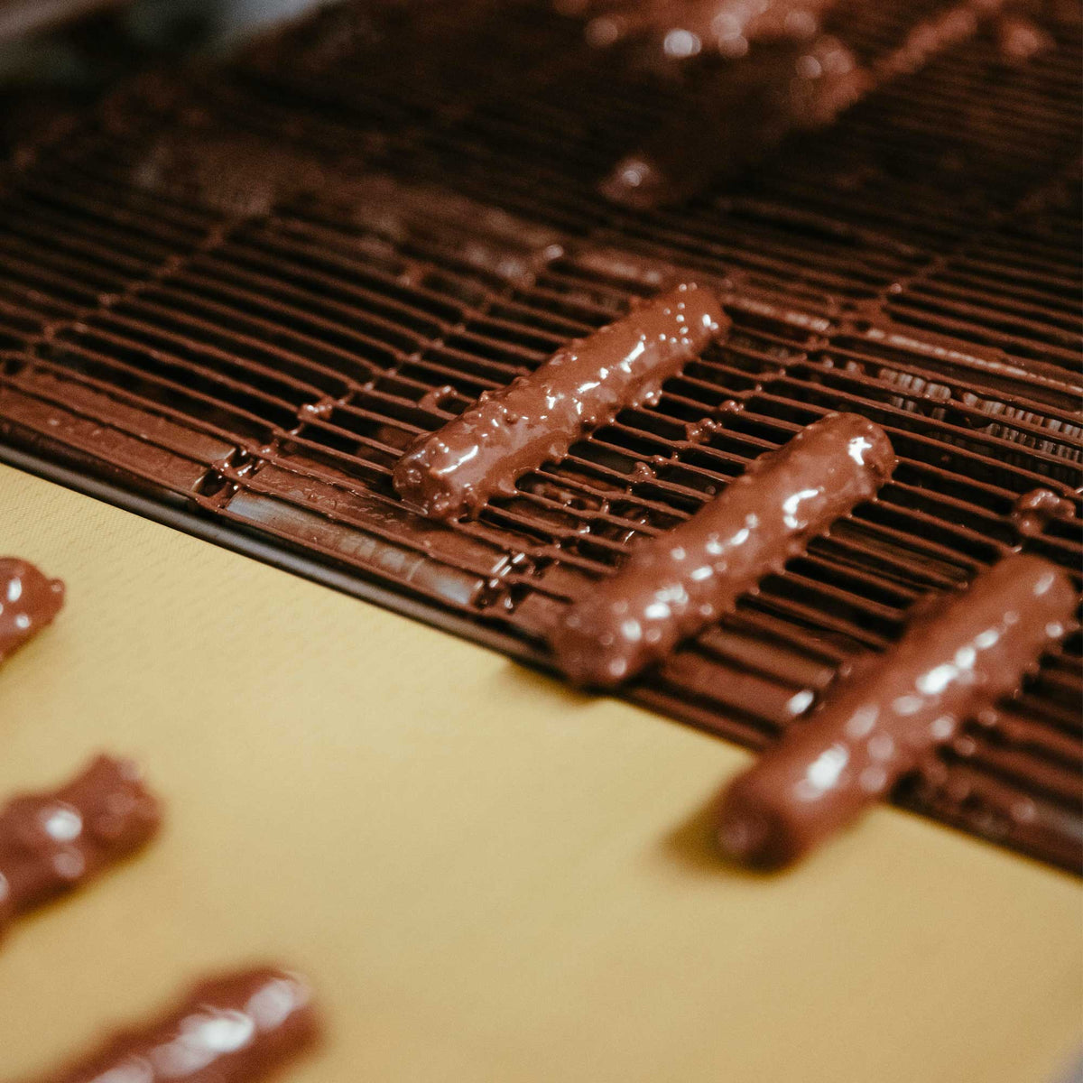 Bûchettes au praliné