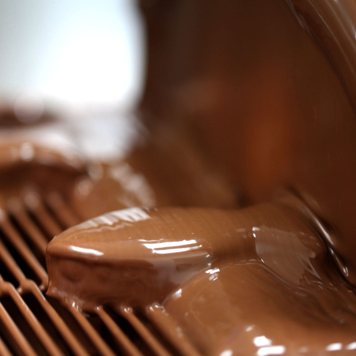 Chocobat au praliné - Lait