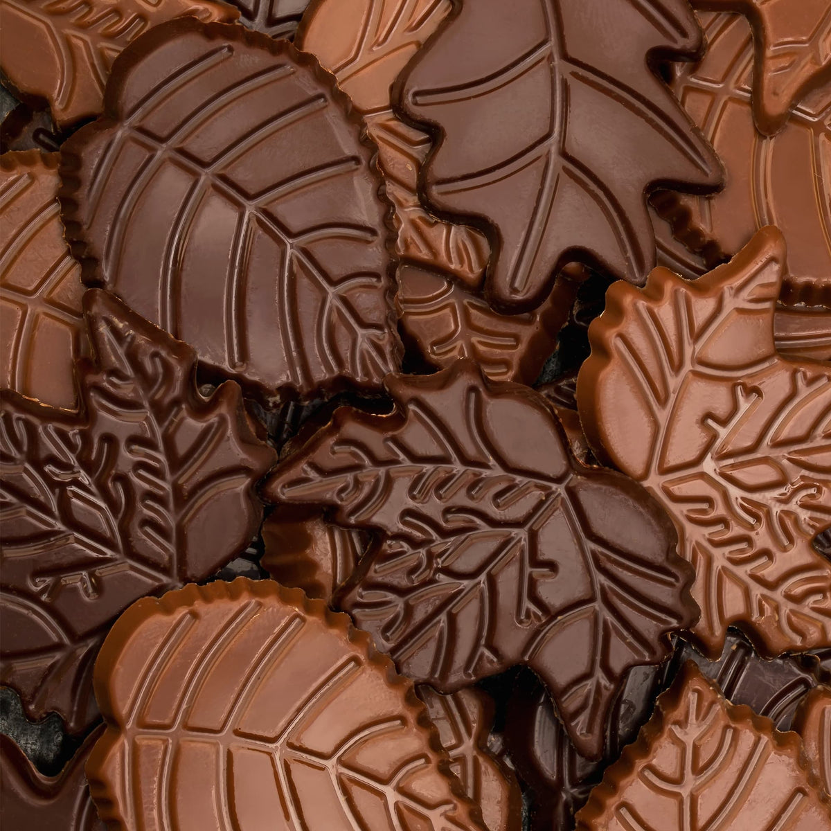 Sachet Feuilles d'automne